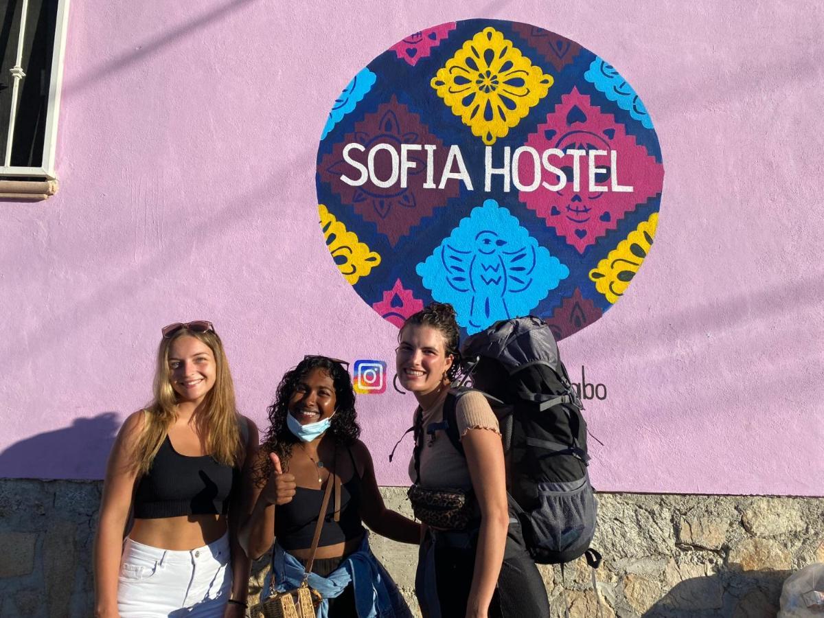 Sofia Hostel Cabo Cabo San Lucas Buitenkant foto